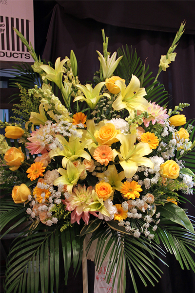 �X�^���h�ԁ@���c�J��